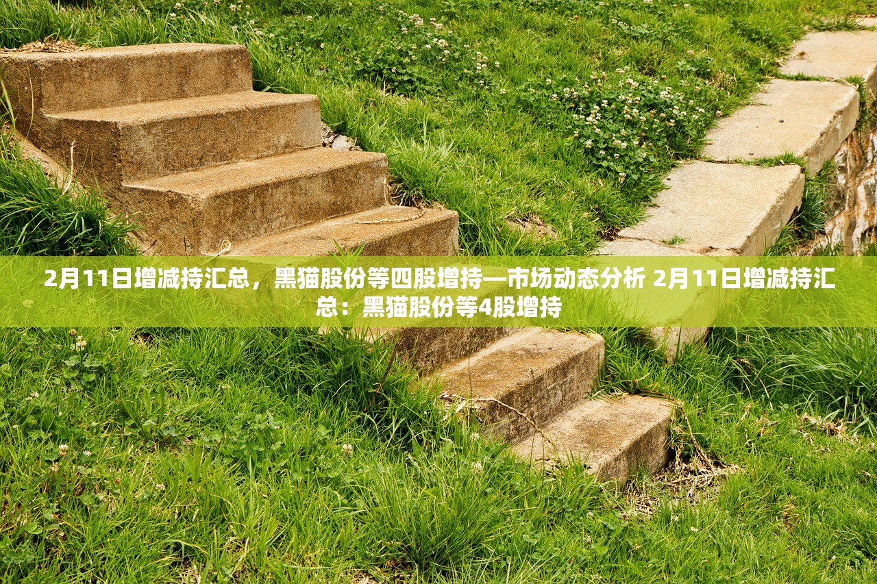 2月11日增减持汇总，黑猫股份等四股增持—市场动态分析 2月11日增减持汇总：黑猫股份等4股增持