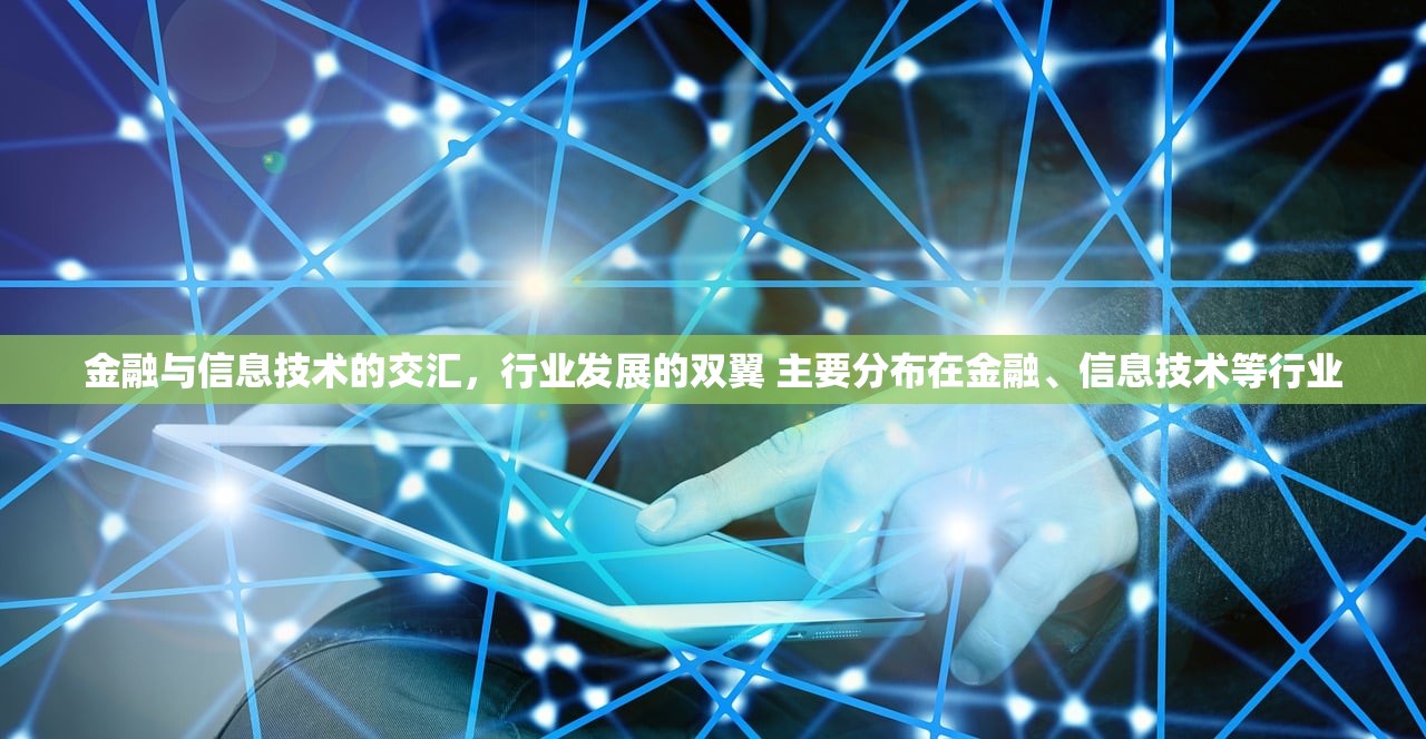金融与信息技术的交汇，行业发展的双翼 主要分布在金融、信息技术等行业