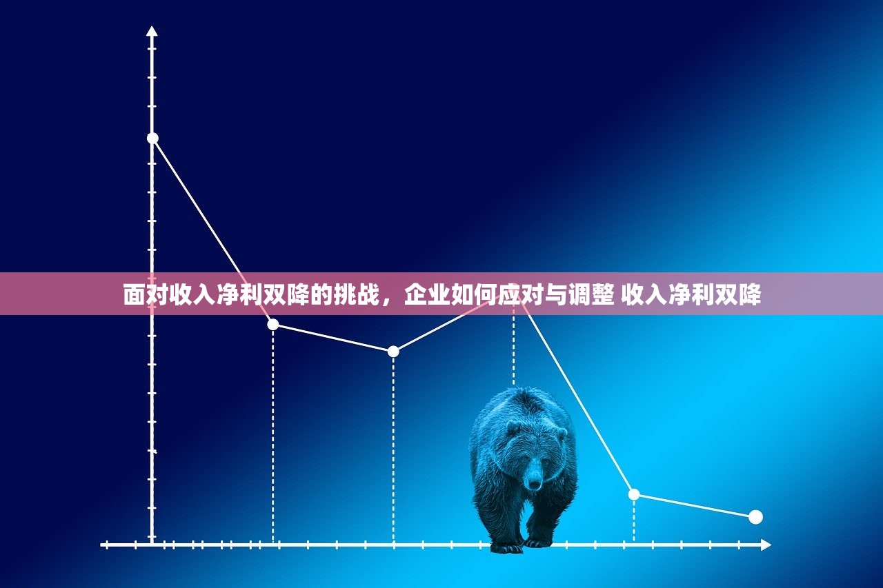 面对收入净利双降的挑战,企业如何应对与调整 收入净利双降 面对收入净利双降的挑战,企业如何应对与调整 收入净利双降