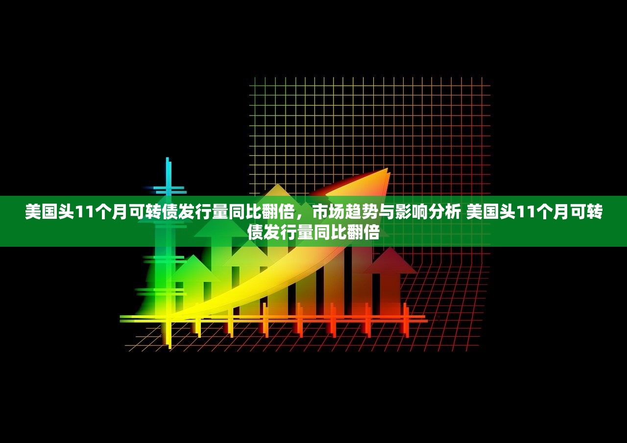 美国头11个月可转债发行量同比翻倍，市场趋势与影响分析 美国头11个月可转债发行量同比翻倍