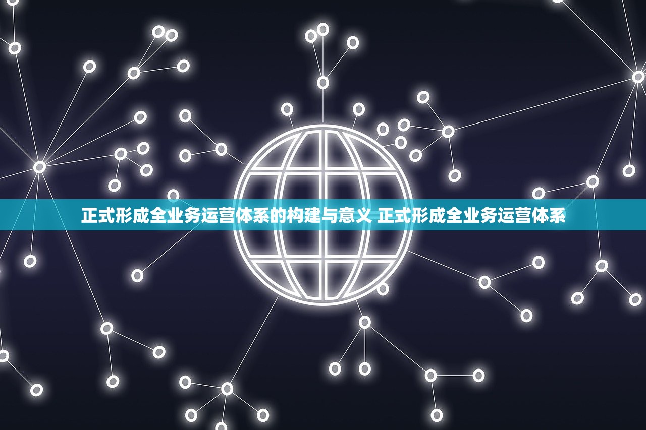 正式形成全业务运营体系的构建与意义 正式形成全业务运营体系
