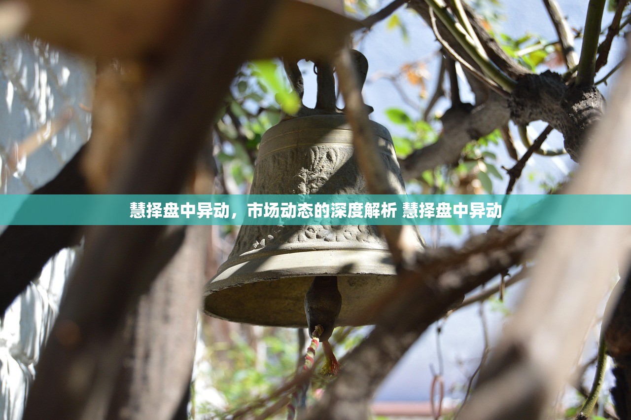 慧择盘中异动，市场动态的深度解析 慧择盘中异动