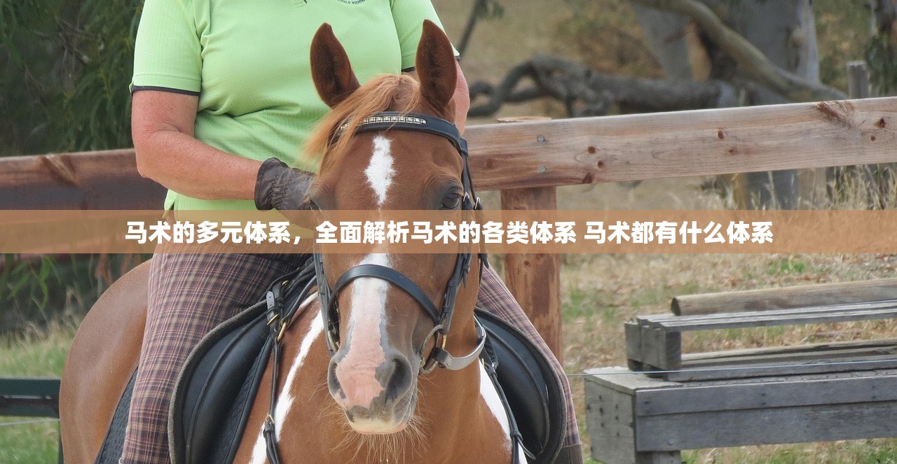 马术的多元体系，全面解析马术的各类体系 马术都有什么体系