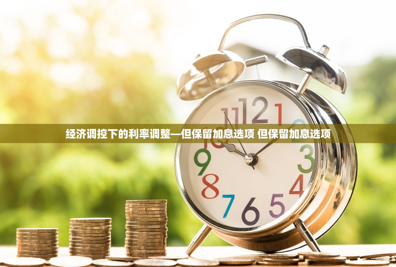 经济调控下的利率调整—但保留加息选项 但保留加息选项
