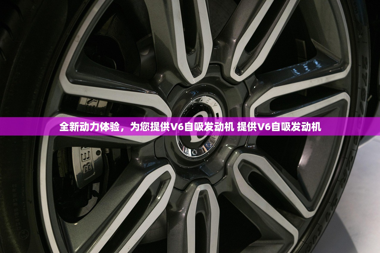 全新动力体验，为您提供V6自吸发动机 提供V6自吸发动机