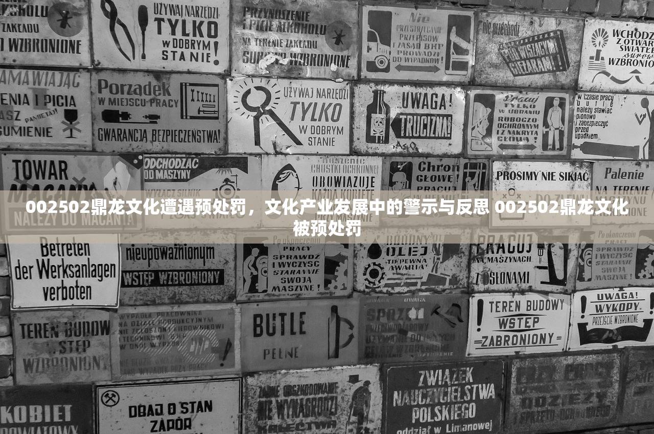 002502鼎龙文化遭遇预处罚，文化产业发展中的警示与反思 002502鼎龙文化被预处罚