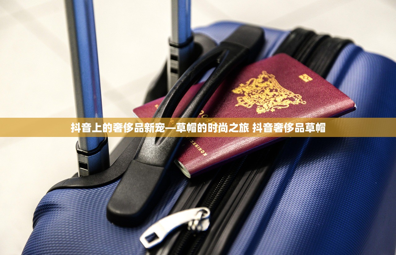 抖音上的奢侈品新宠—草帽的时尚之旅 抖音奢侈品草帽