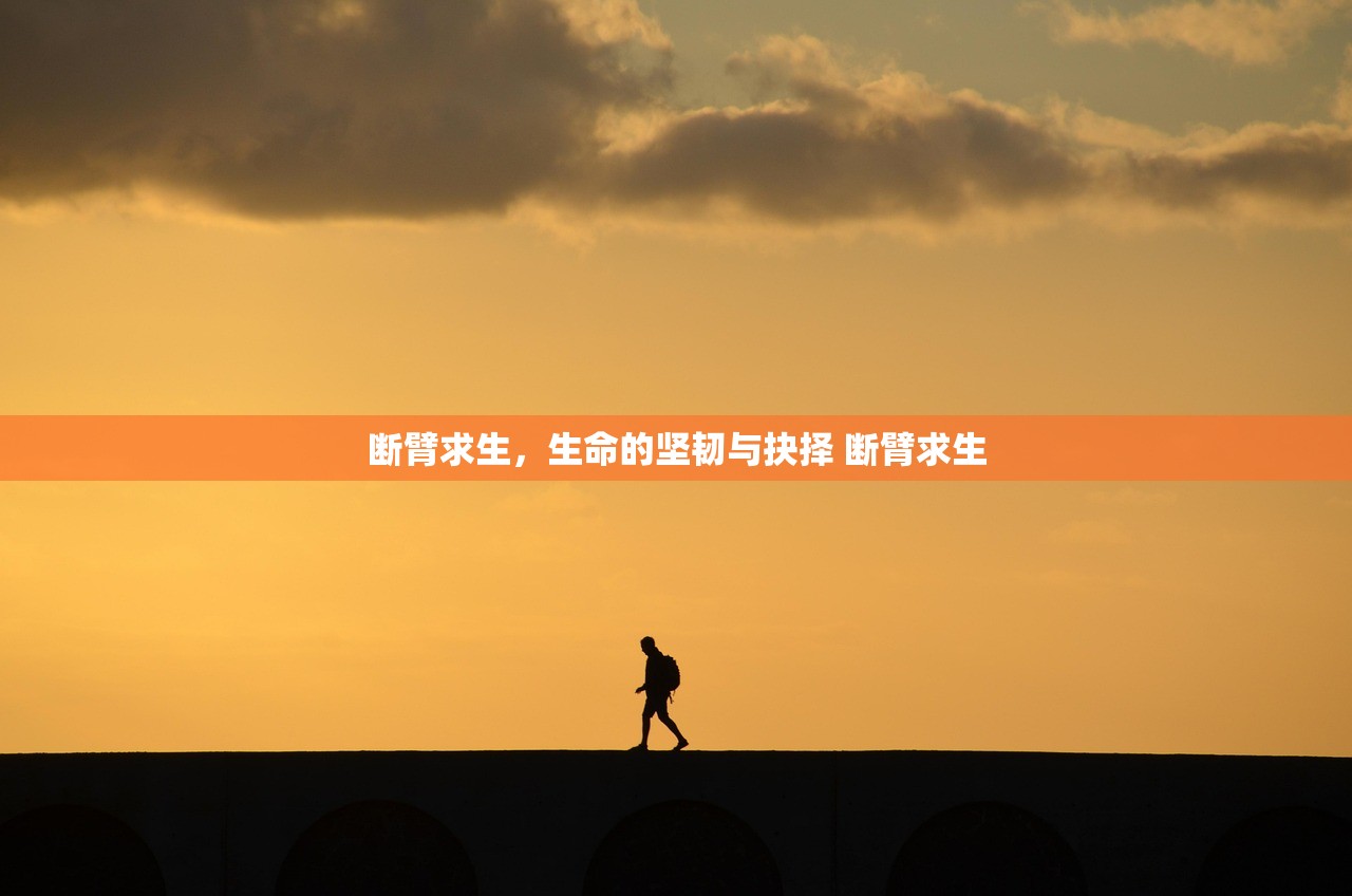 断臂求生，生命的坚韧与抉择 断臂求生