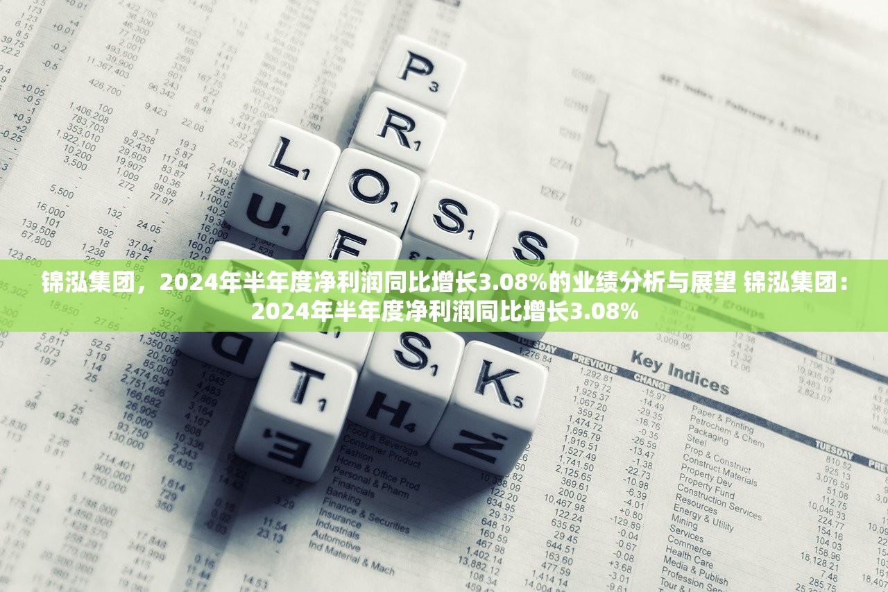 锦泓集团，2024年半年度净利润同比增长3.08%的业绩分析与展望 锦泓集团：2024年半年度净利润同比增长3.08%