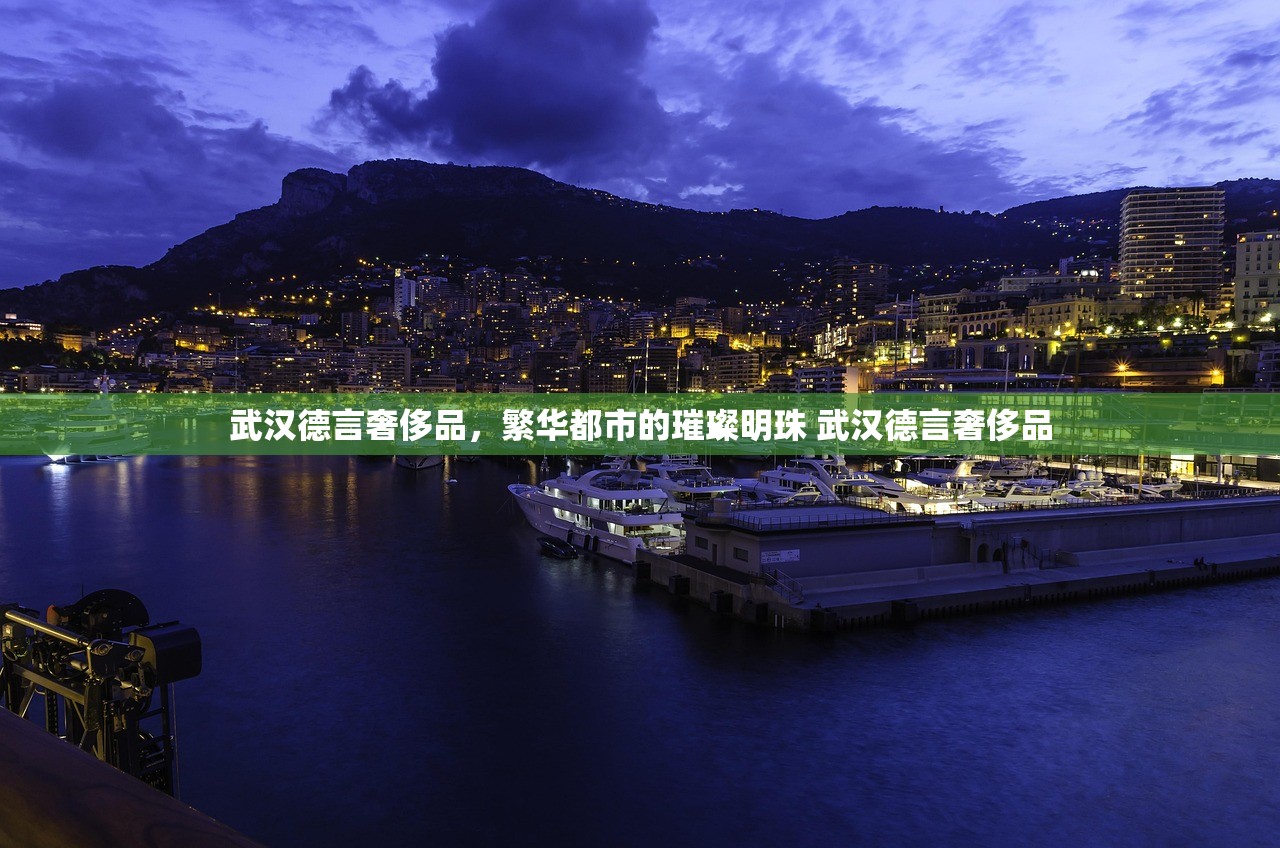 武汉德言奢侈品，繁华都市的璀璨明珠 武汉德言奢侈品