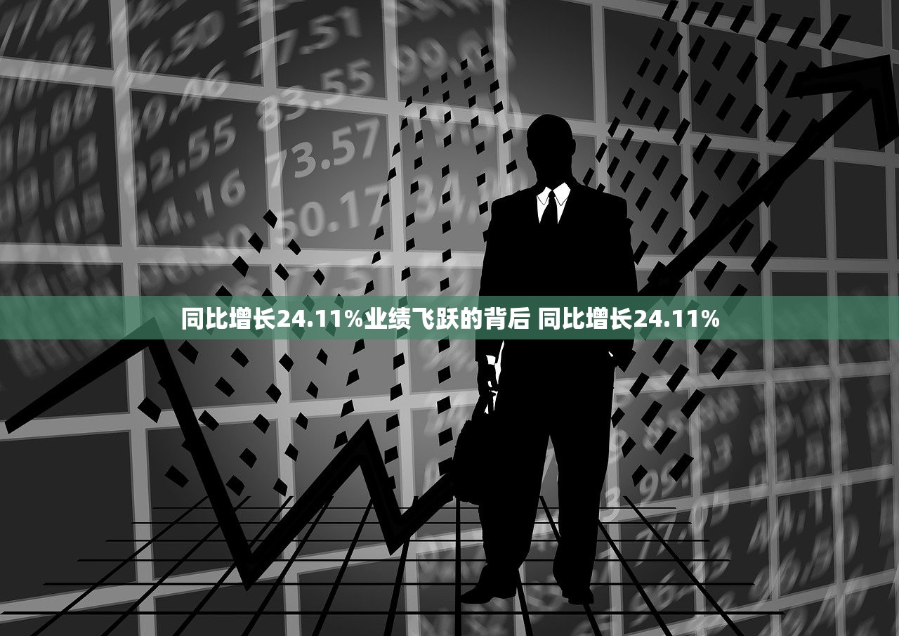 同比增长24.11%业绩飞跃的背后 同比增长24.11%