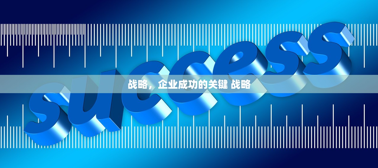 战略，企业成功的关键 战略