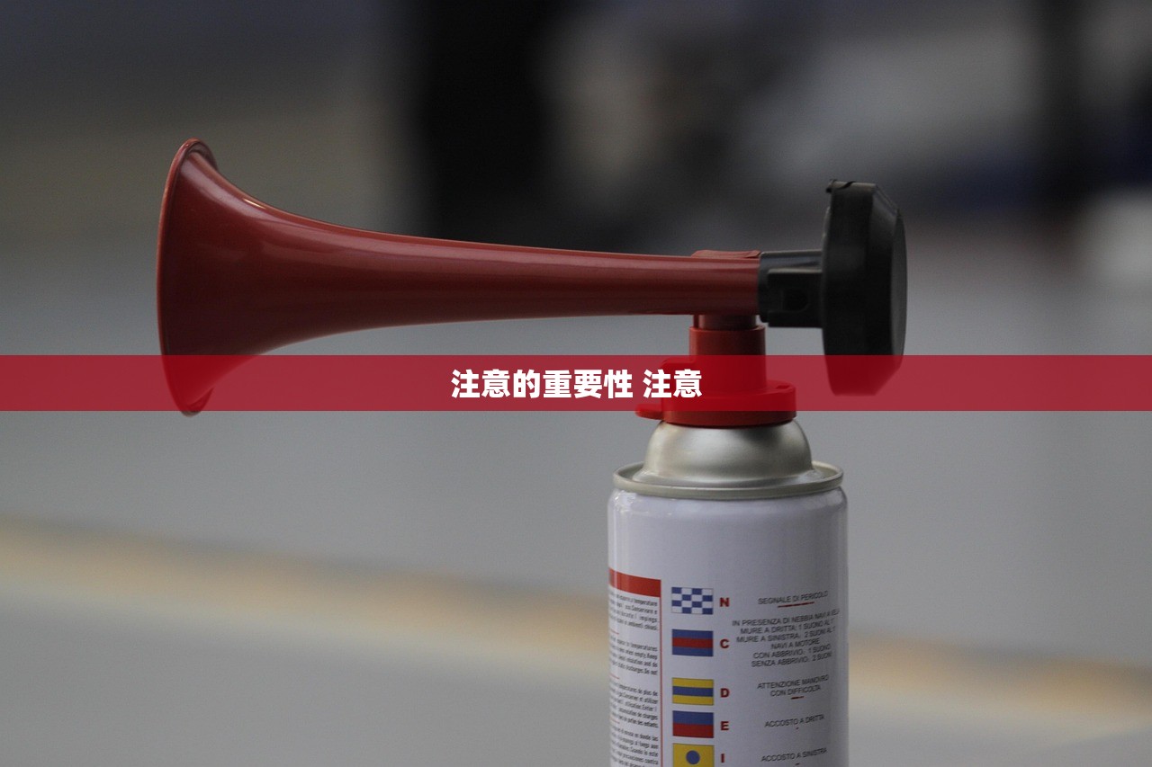 注意的重要性 注意 注意的重要性 注意