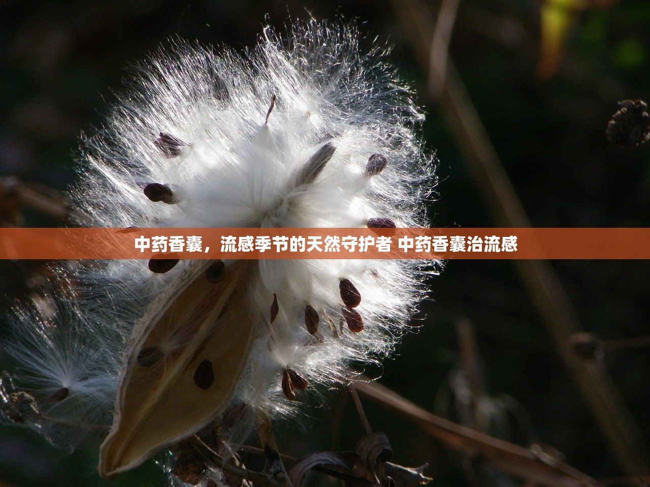 中药香囊，流感季节的天然守护者 中药香囊治流感