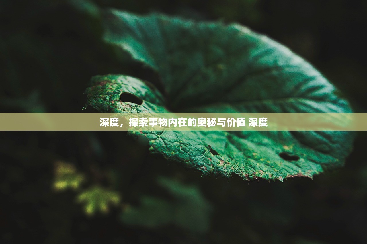 深度，探索事物内在的奥秘与价值 深度