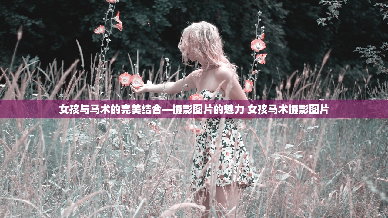 女孩与马术的完美结合—摄影图片的魅力 女孩马术摄影图片