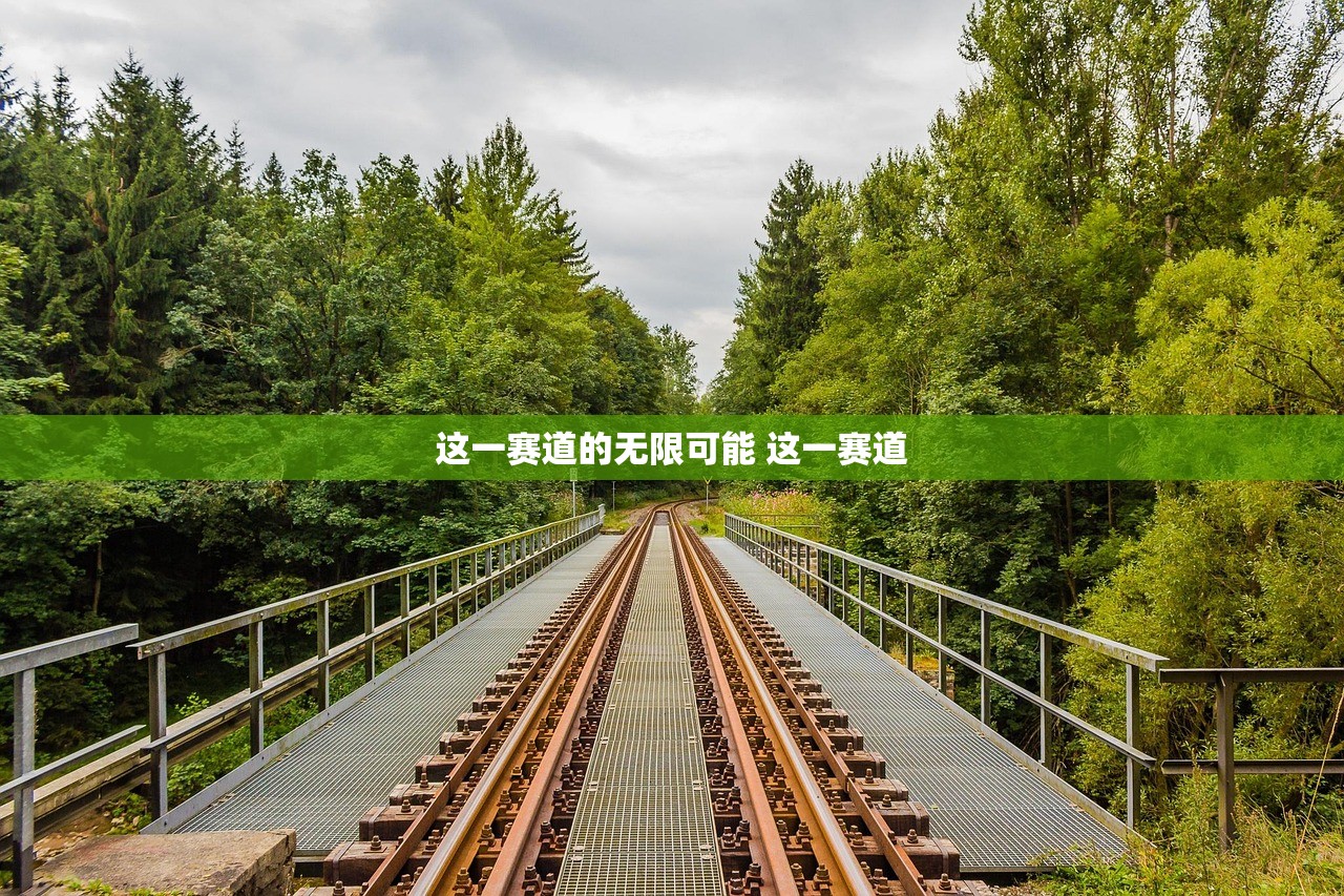 这一赛道的无限可能 这一赛道
