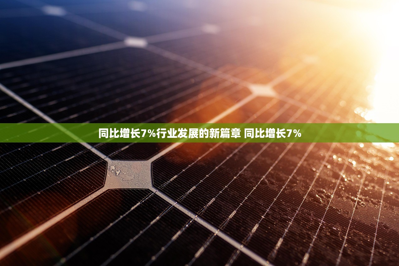 同比增长7%行业发展的新篇章 同比增长7%