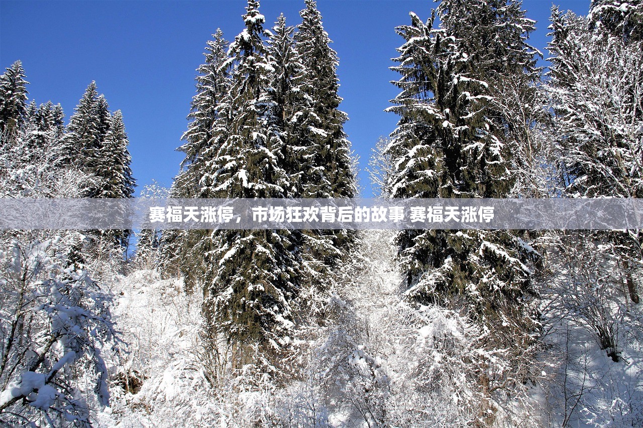 赛福天涨停，市场狂欢背后的故事 赛福天涨停