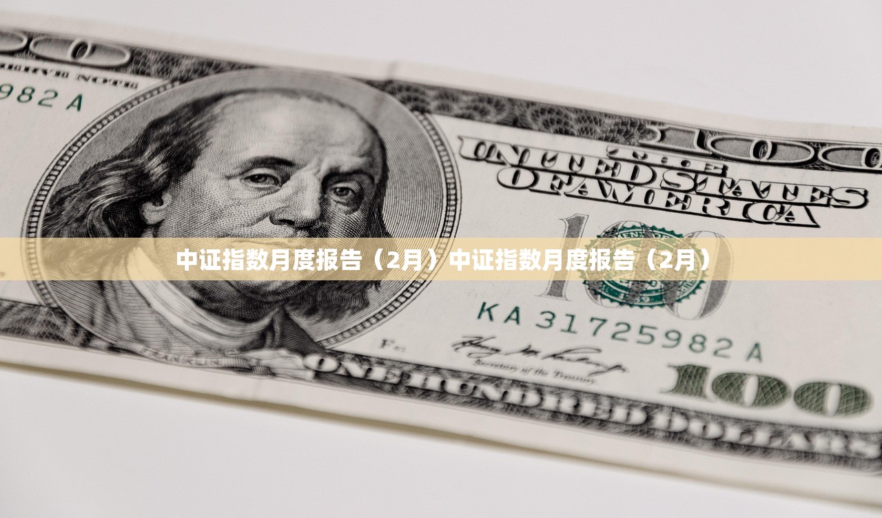 中证指数月度报告（2月）中证指数月度报告（2月）