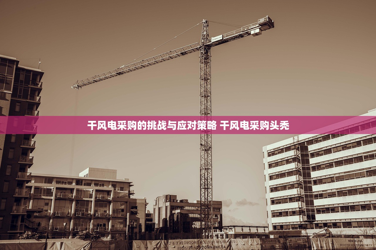 干风电采购的挑战与应对策略 干风电采购头秃 干风电采购的挑战与应对策略 干风电采购头秃