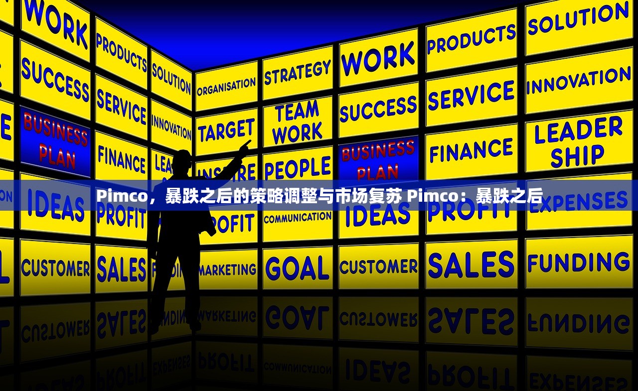 Pimco，暴跌之后的策略调整与市场复苏 Pimco：暴跌之后