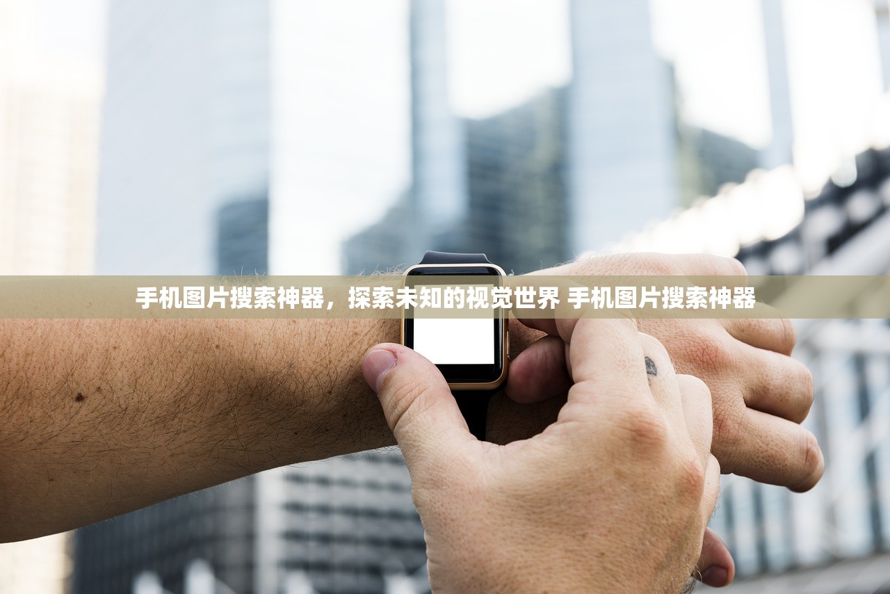 手机图片搜索神器，探索未知的视觉世界 手机图片搜索神器