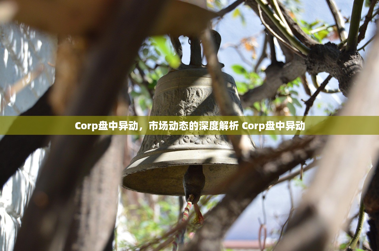Corp盘中异动，市场动态的深度解析 Corp盘中异动