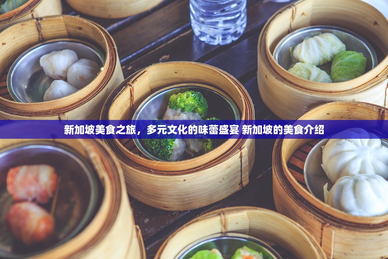 新加坡美食之旅，多元文化的味蕾盛宴 新加坡的美食介绍