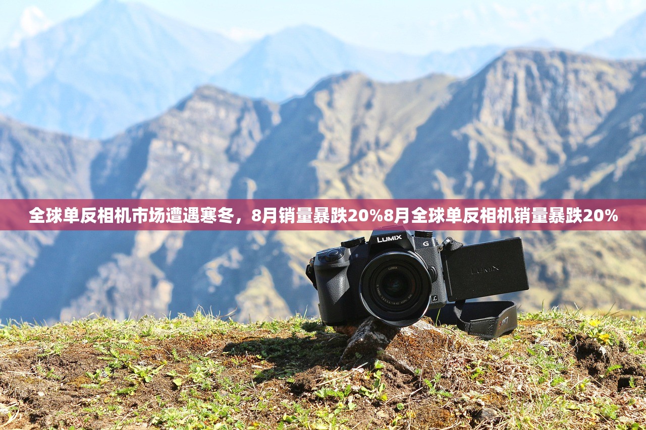 全球单反相机市场遭遇寒冬，8月销量暴跌20%8月全球单反相机销量暴跌20%