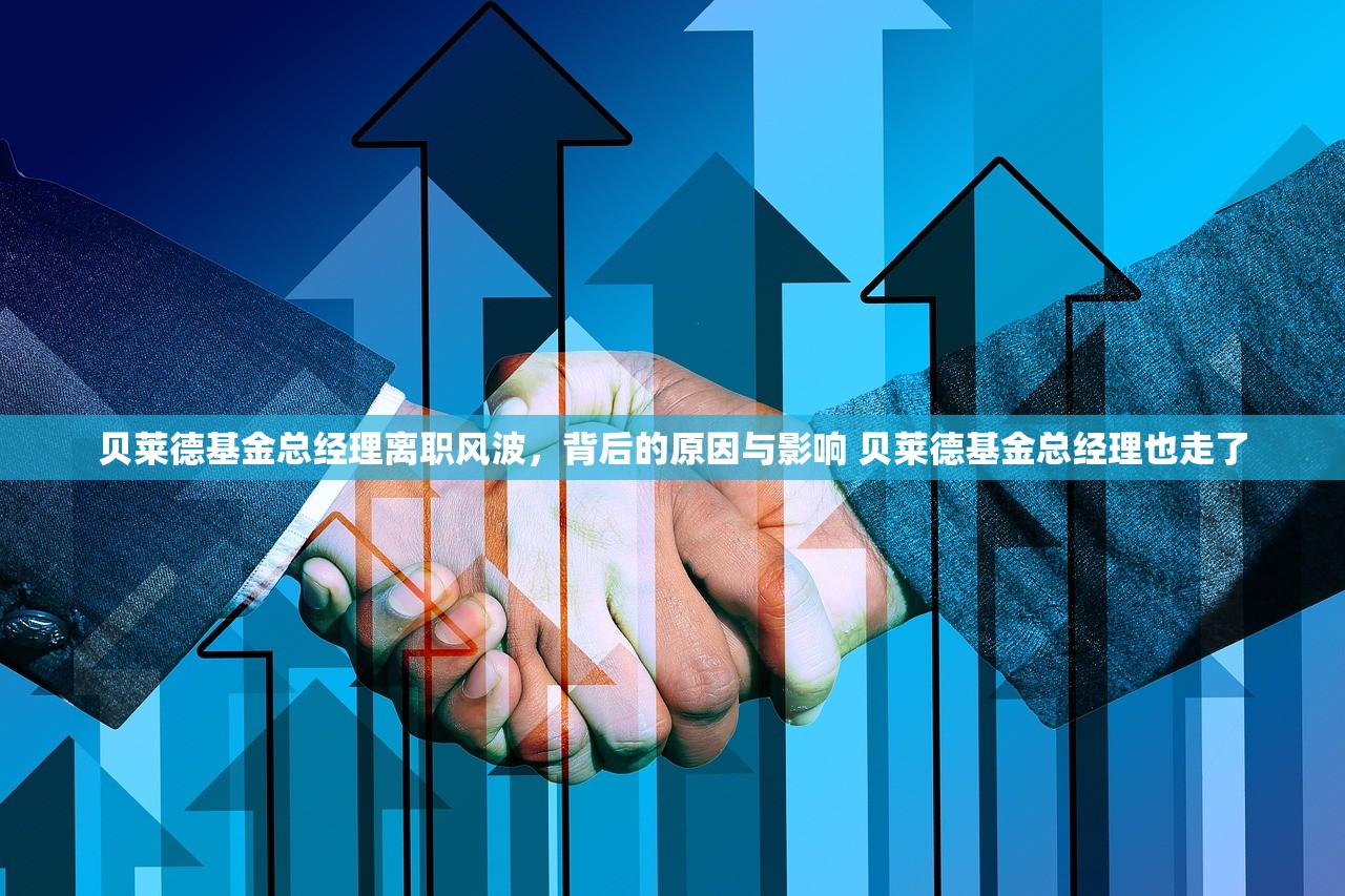 贝莱德基金总经理离职风波，背后的原因与影响 贝莱德基金总经理也走了