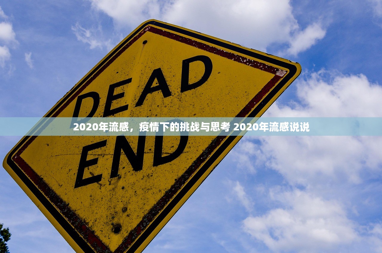 2020年流感,疫情下的挑战与思考 2020年流感说说 2020年流感,疫情下的挑战与思考 2020年流感说说
