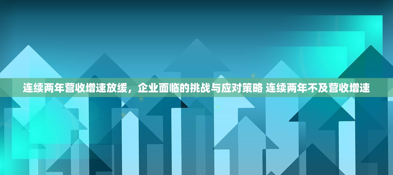 连续两年营收增速放缓，企业面临的挑战与应对策略 连续两年不及营收增速