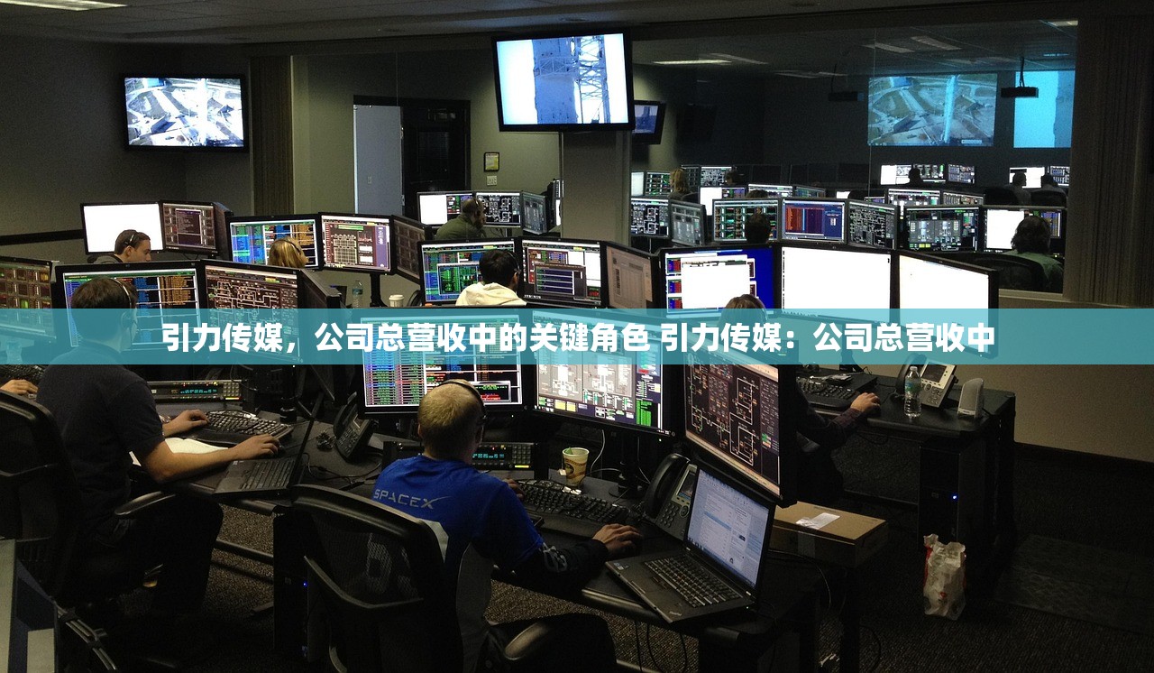 引力传媒，公司总营收中的关键角色 引力传媒：公司总营收中