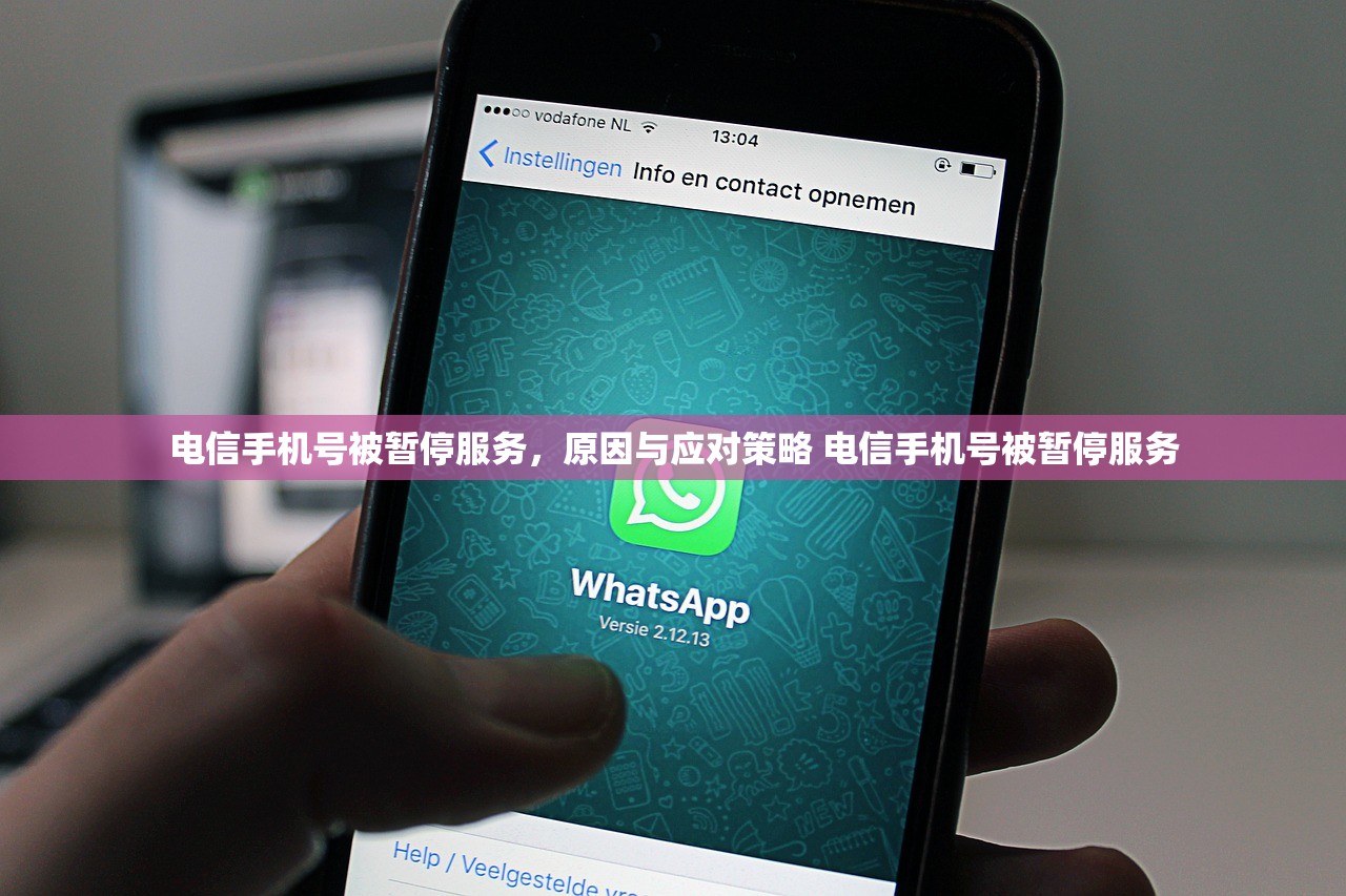 电信手机号被暂停服务,原因与应对策略 电信手机号被暂停服务 电信手机号被暂停服务,原因与应对策略 电信手机号被暂停服务