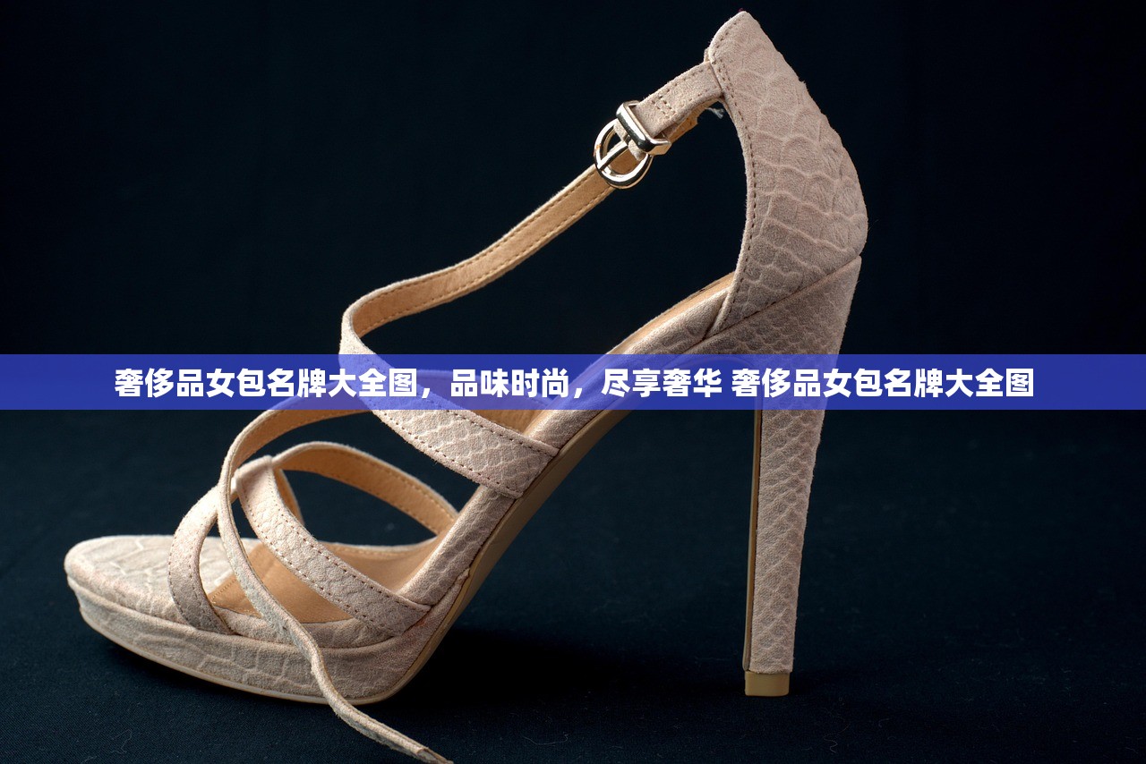 奢侈品女包名牌大全图，品味时尚，尽享奢华 奢侈品女包名牌大全图