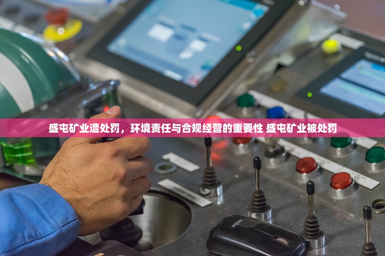 盛屯矿业遭处罚，环境责任与合规经营的重要性 盛屯矿业被处罚