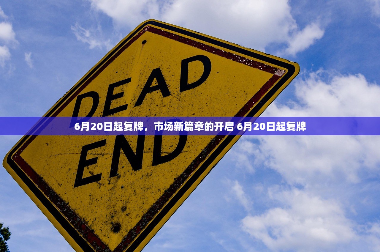 6月20日起复牌，市场新篇章的开启 6月20日起复牌