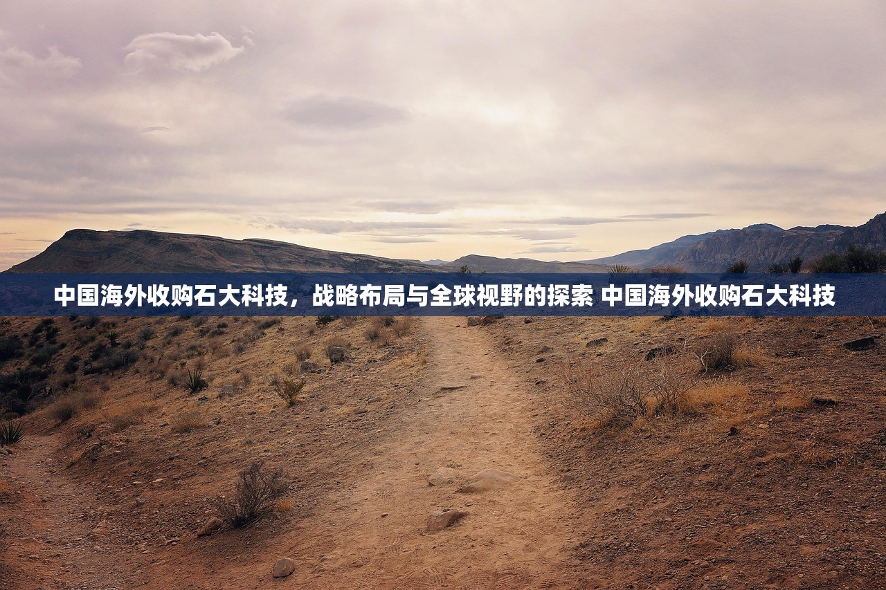 中国海外收购石大科技，战略布局与全球视野的探索 中国海外收购石大科技