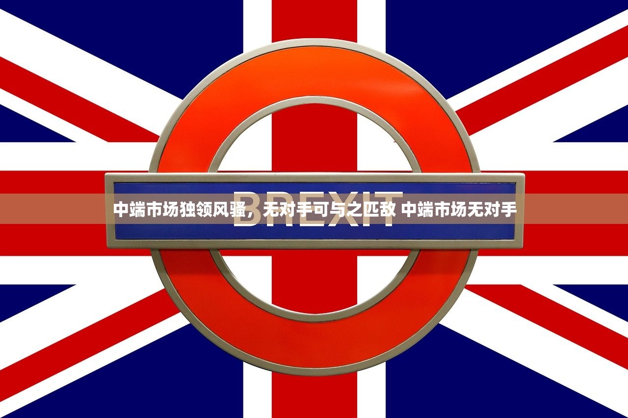 中端市场独领风骚，无对手可与之匹敌 中端市场无对手