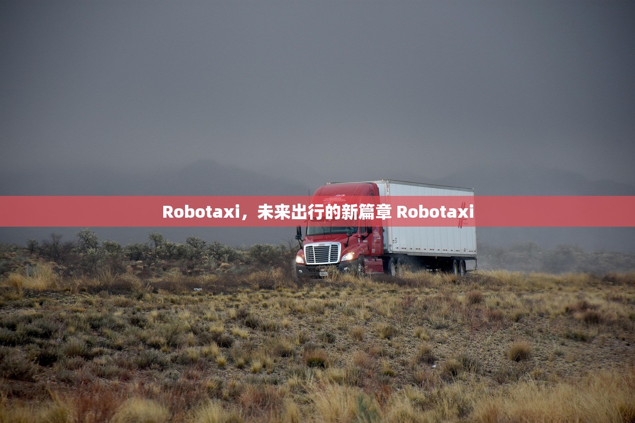 Robotaxi，未来出行的新篇章 Robotaxi