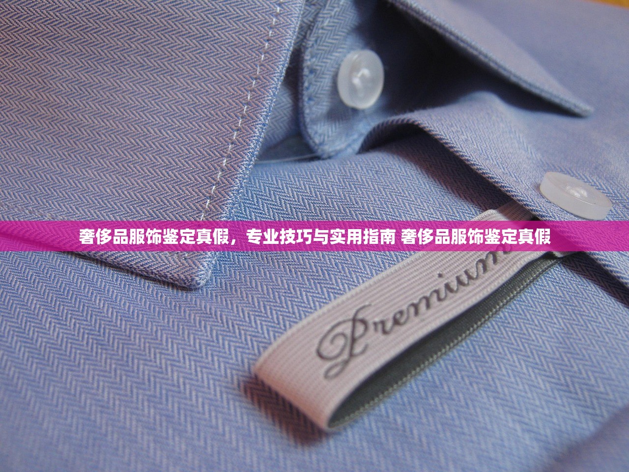 奢侈品服饰鉴定真假，专业技巧与实用指南 奢侈品服饰鉴定真假