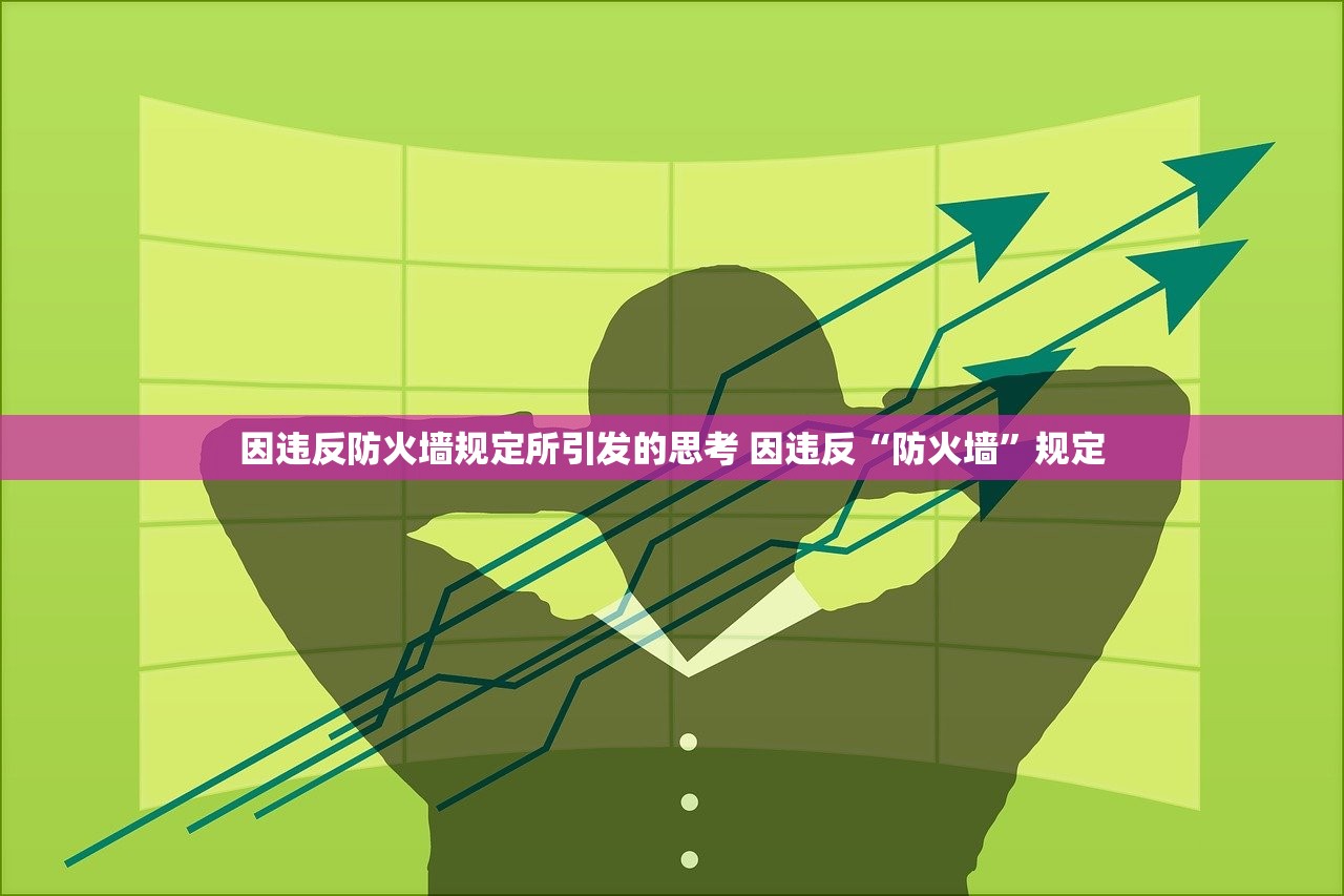 因违反防火墙规定所引发的思考 因违反“防火墙”规定 因违反防火墙规定所引发的思考 因违反“防火墙”规定