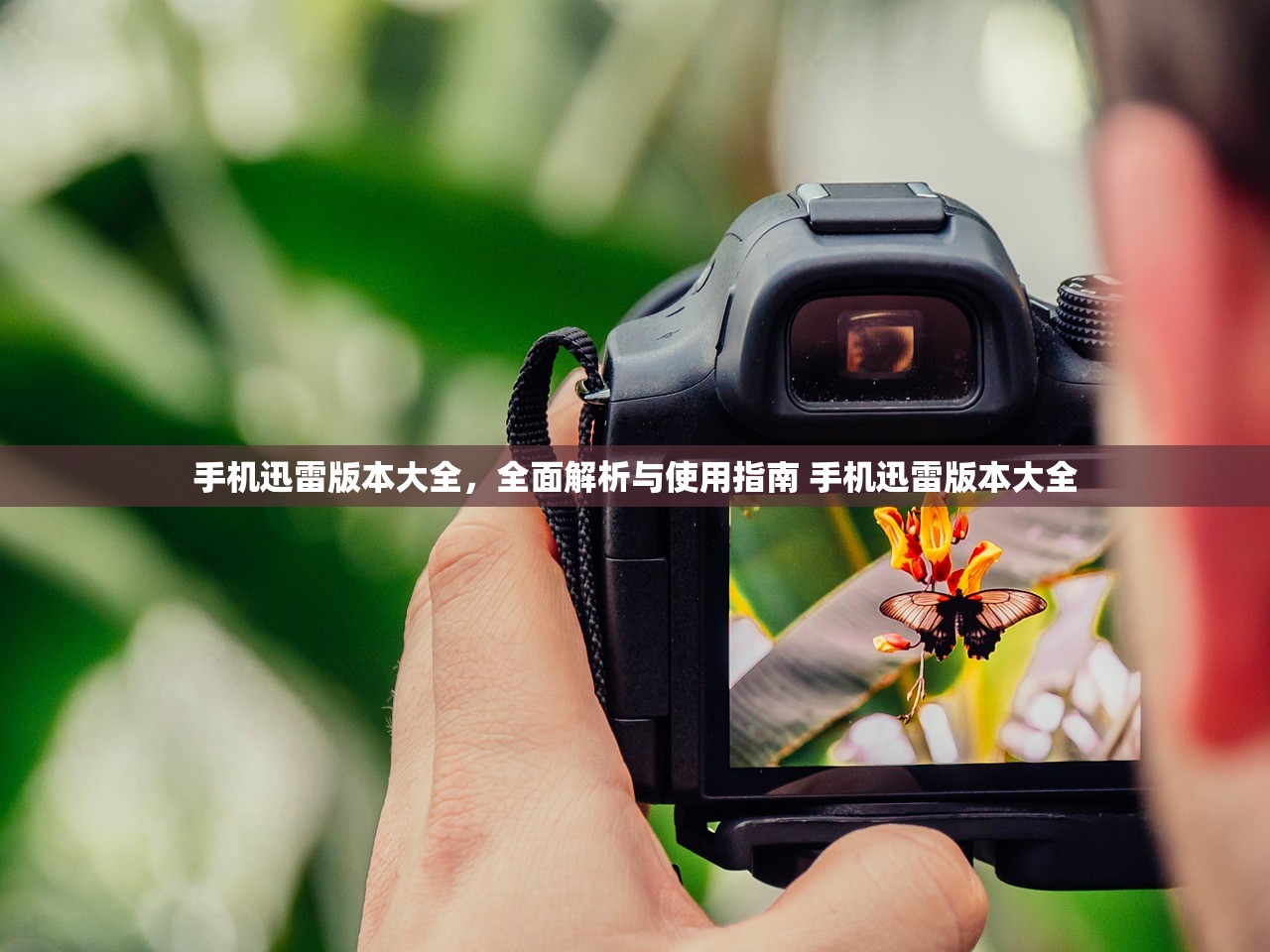手机迅雷版本大全，全面解析与使用指南 手机迅雷版本大全