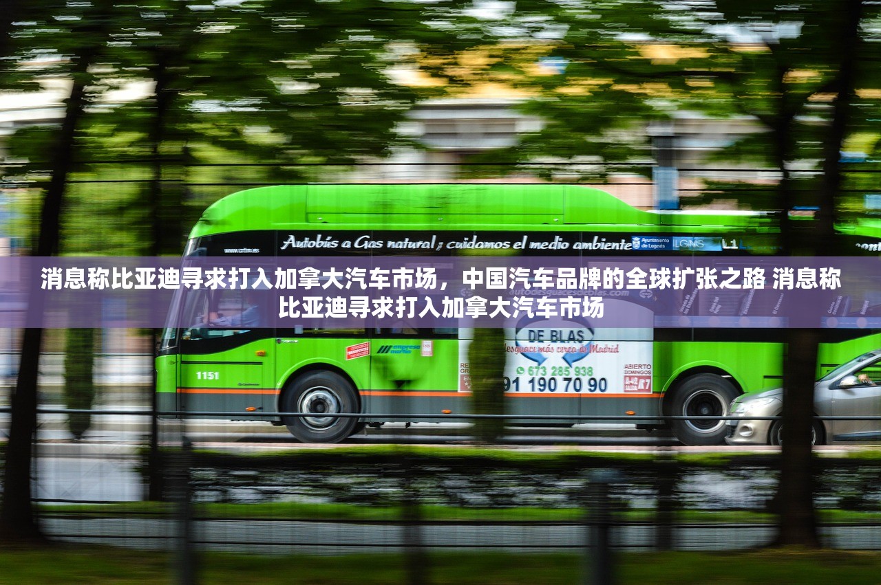 消息称比亚迪寻求打入加拿大汽车市场，中国汽车品牌的全球扩张之路 消息称比亚迪寻求打入加拿大汽车市场