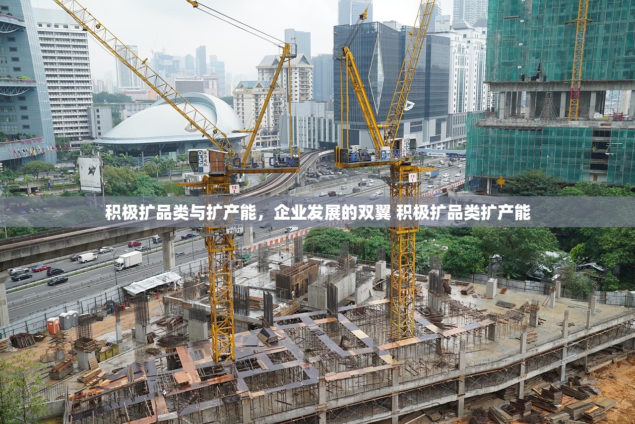 积极扩品类与扩产能，企业发展的双翼 积极扩品类扩产能