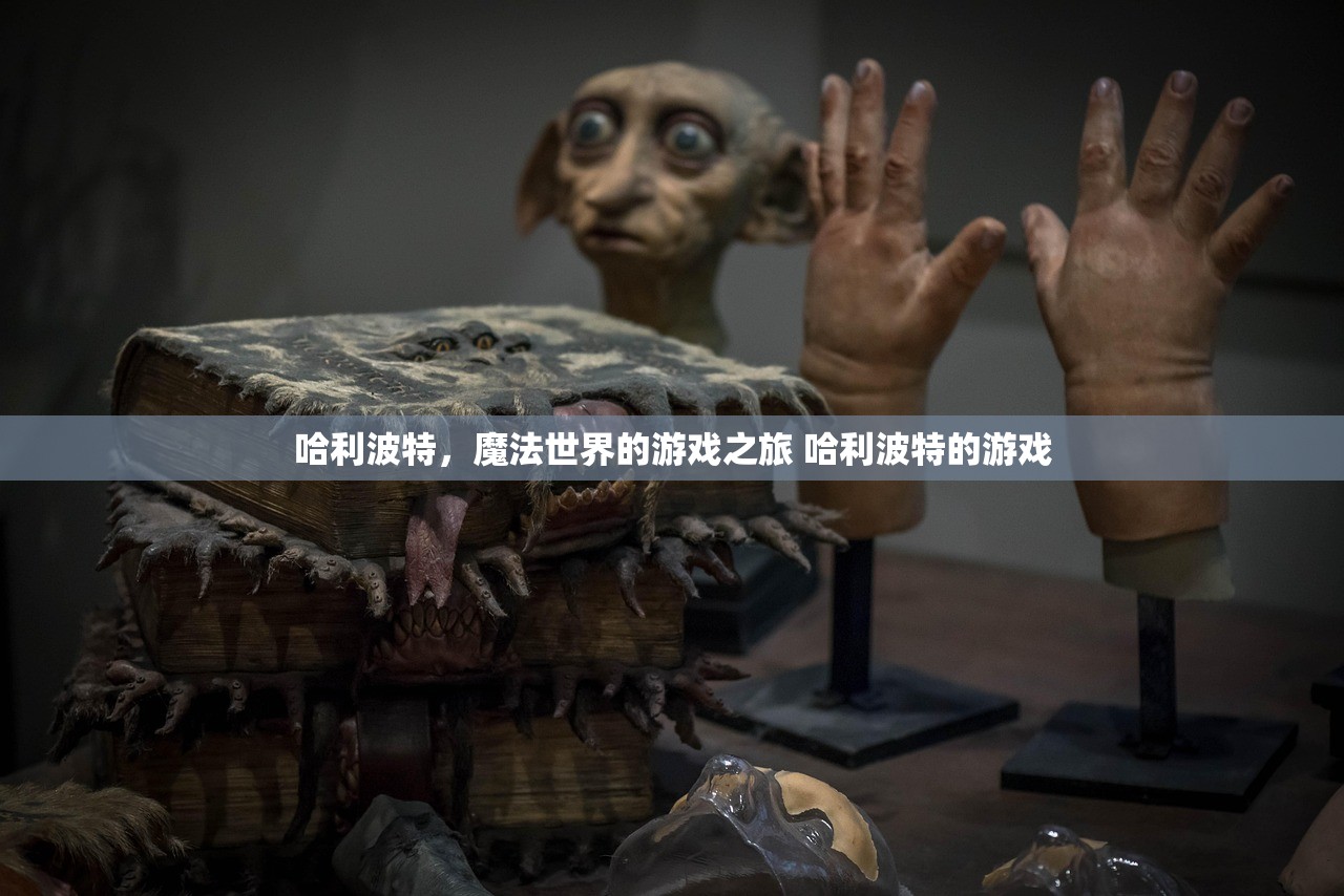 哈利波特，魔法世界的游戏之旅 哈利波特的游戏