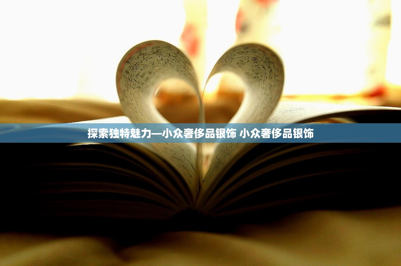 探索独特魅力—小众奢侈品银饰 小众奢侈品银饰