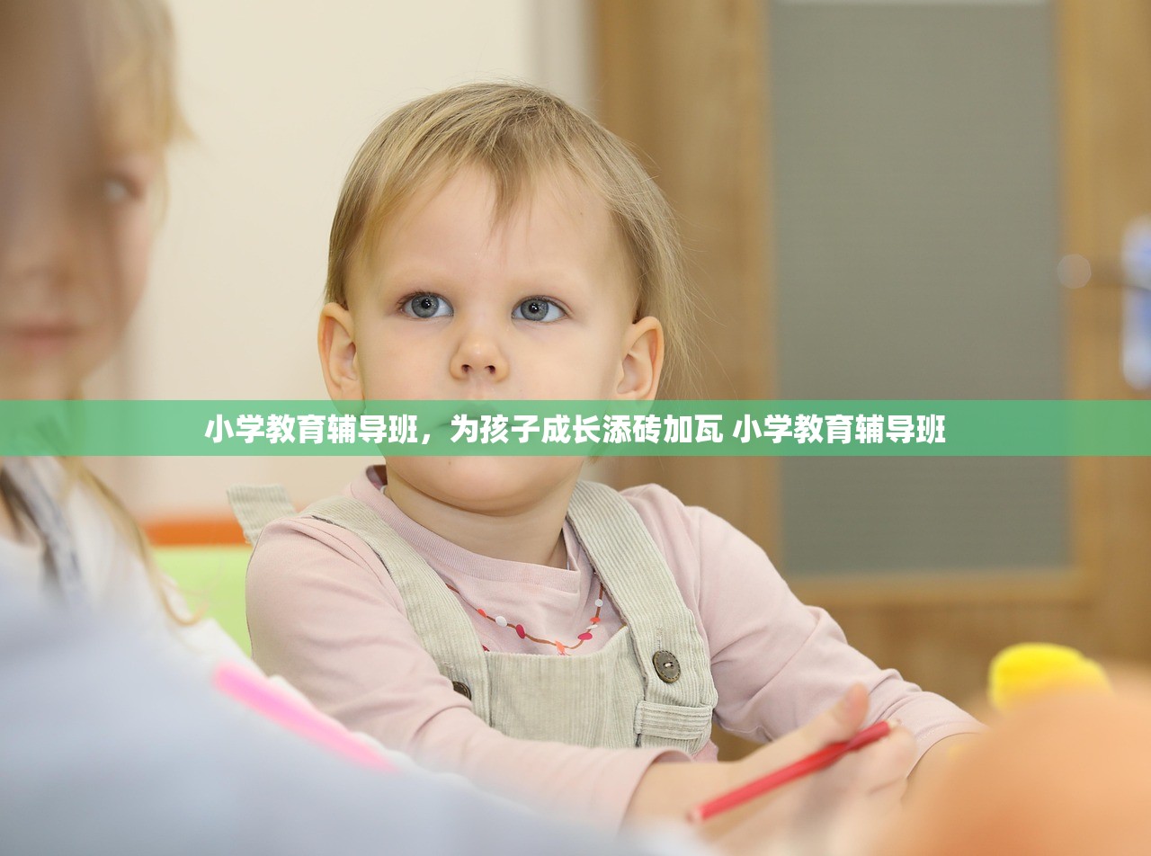 小学教育辅导班,为孩子成长添砖加瓦 小学教育辅导班 小学教育辅导班,为孩子成长添砖加瓦 小学教育辅导班