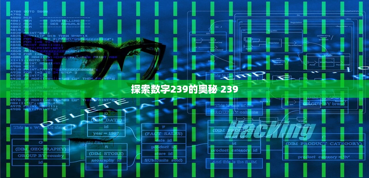 探索数字239的奥秘 239